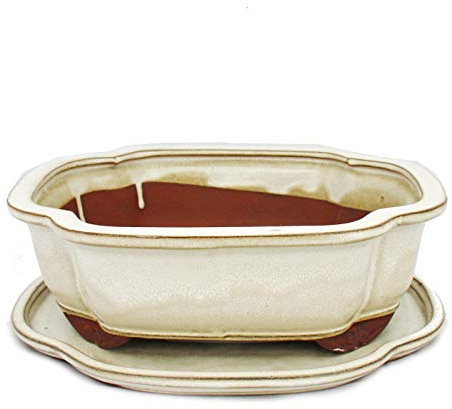 exotenherz - Bonsai-Schale mit Unterteller Gr. 4 - Hellbeige - haitang/oval - Modell I4 - L 26cm - B 20,5cm - H 8,5cm