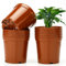 KINGLAKE 12Piezas 15CM Macetero de Plástico,Maceta de Semillas, Adecuado para Interior u Exterior