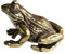 DUOLAIYUNSO Bronzefigur, 3,6 x 1,4 x 2 cm, Miniatur-Frosch-Figur, Vintage-Stil, Messing, Frosch, Dekoration, Frosch, Statue, Schreibtisch, Messing-Ornament