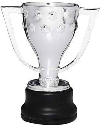 SWAYVES Replica Trofeo Calcio Campioni Trofei Campionato Premio Coppe Club Fans Souvenir Collezionabili Ufficio Casa Ornamenti/15Cm