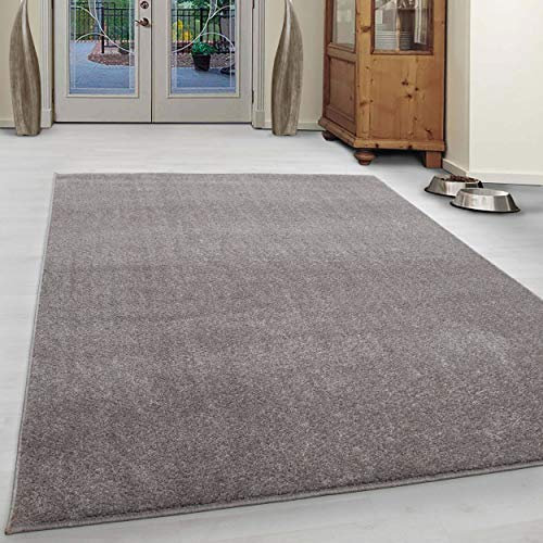 Ayyildiz Teppich-Teppich Modern Designer einfarbig kurzflor, Polypropylen, Beige, 60 X 100