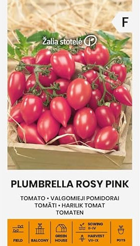 Zalia stotele | Tomaten - Plumbrella Rosy Pink samen | Gemüsesamen | Tomatensamen | Die Pflanzen der Topftomaten-Serie, eine frühe Sorte, klein und buschig mit kleinen knackigen Früchten | 1 Pack