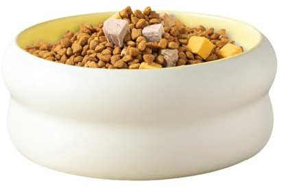 Hundmatsskål Hundmatsrätt Och Kattmatsrätt Samt Mikrovågssäker Vattenskål