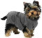 Royal Dry Bademantel Hund XS - Rückenlänge 30-35 cm - Hundehandtuch - Mikrofase - Hundebademantel kleine Hunde - Schnell Trocknendes mit Klettverschluss - Grau
