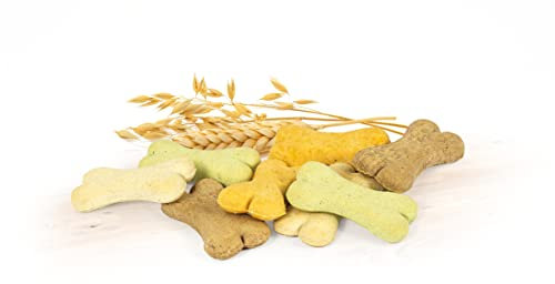 Record Hundekekse BiscoDog Mini-Hundekekse Kauspielzeug für Hunde, 10 kg, Leckerli für Hunde, pflanzliche Geschmacksrichtungen, reich an Vitaminen A-D3-E, Knochenform für Hunde, Vorratspackung