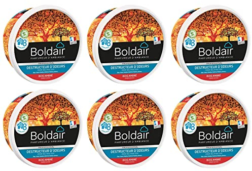 BOLDAIR Lot de 6 Pots 300g Gel destructeur d'odeurs bois ambré