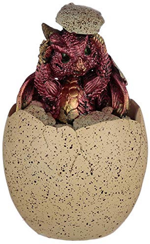 Puckator DRG460 Elements Dragon Hatching Egg Trinket Box