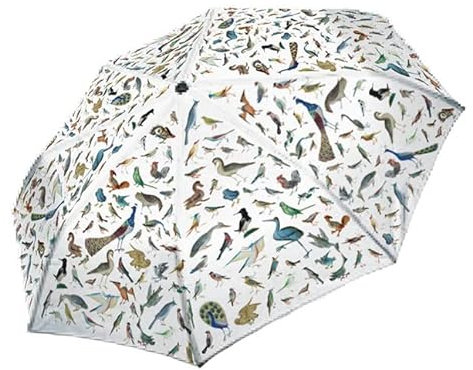 Rannenberg & Friends | Regenschirm/Taschenschirm/Automatikschirm | Motiv: Vögel aus den Illuminationen der Naumburger Chorbücher | Bunt, Geblümt | Durchmesser 97 cm | Sturmsicher | 330g schwer