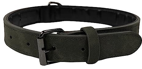 Hundehalsband für große und mittelgroße Hunde – Kunstleder, veganes und nachhaltiges Hundehalsband mit schicker Schnalle – strapazierfähig, weich und bequem – ideale Kombination mit Ihrer Ruthi
