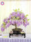 10pcs Glyzinien Samen Seltene Purpurrote Blume Wisteria Bonsai Samen Mini Bonsai-Baum-Innenzierpflanze für Heimtextilien