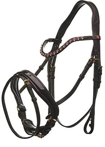 Horsecode Trense Brown Magic Warmblut
