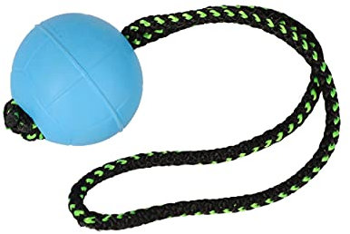 Dingo Bäll BIBI für Training # 70 mit Griff 30 cm Farbe Blau schwimmend Bäll Kautschuk Gummi Apport Spiel mit Hund 17253