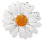 ba bijou-art Damen-Brosche Blume Margerite Emaille Anstecknadel Versilbert