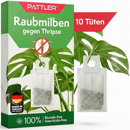 Pattler Raubmilben gegen Thripse & Spinnmilben – 10 Stük. Biologische Schädlingsbekämpfung mit Amblyseius cucumeris – Effektiv zur Thripse Bekämpfung & Spinnmilben bekämpfen im Garten & Gewächshaus