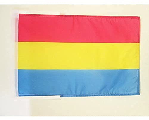 AZ FLAG - Flagge Pansexualität - 45x30 cm Mit Kordel - Pansexuellen Omnisexualität Fahne 30 x 45 Cm - Flaggen