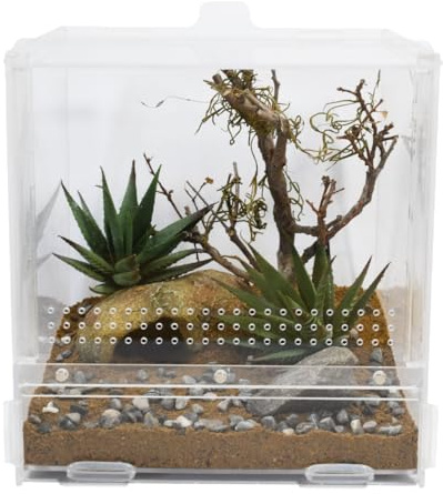 Lucky Reptile LifeTarrium 20x20x20 cm