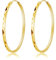 Deyanse Silver Large Hoop Earrings, 925 Sterling Silver Women's Hoop Earrings, Hypoallergenic 50mm Big Round Huggies Earring, Lightweight Gold Circle Endless Pierced Earrings, Gift for Birthday Party