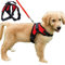 Dog Harness Mesh Breathable Comfortable Pet Vest No Pull Adjustable Soft Padded Dog Power Strap (S, Red)