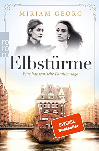 Elbstürme (Eine hanseatische Familiensaga 2)