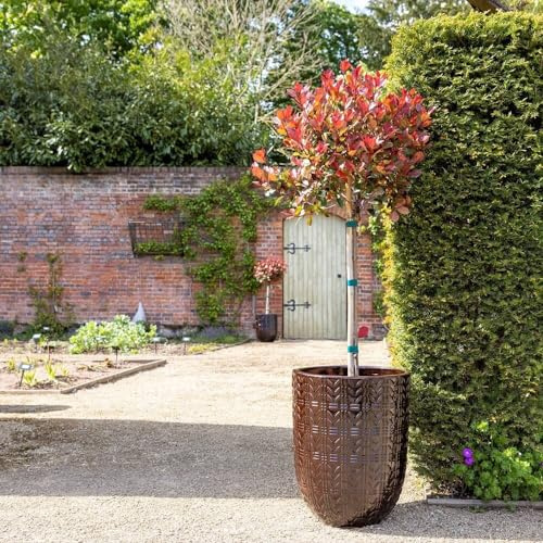 Primrose H50cm Glazed Terracotta Planter In Coffee Garden Patio Flower Pot