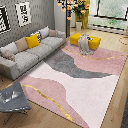 DJHWWD tappeto sala Tappeto rettangolare rosa per camera da letto Tappeto per soggiorno Tappeto per interni Lavabile in lavatrice tappeti per sala camera da letto completa matrimoniale 100X160cm