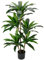 Hollyone 4FT Artificial Dracaena Fragrans Tall Artificial plants, Replica Faux Fake Plant with Durable Trunks and Lifelike Leaves, for Home Living Room Indoors Decor (120cm)