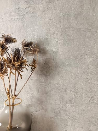 Newroom Vliestapete Grau Betonoptik Industrial Loft Tapete Wohnzimmer | verwitterter Sichtbeton changierend, hell-dunkel Verläufe mit Wischspuren, Betontapete, Vintagetapete, Flur Büro
