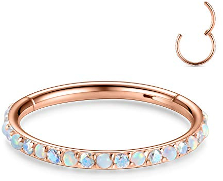16G Septum Clicker Ring Daith Ohrringe Muschelschmuck Nahtloser Clicker Ring Chirurgischer Stahl Turm Tragus Muschel Piercing Schmuck Kleiner Creolen Ohrring Nasenring Roségold 12mm CZ Opal