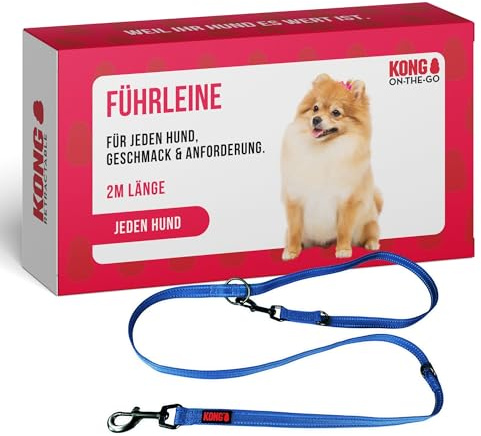 KONG robuste Hundeleine aus Nylon I blau I dreifach verstellbare Leine Hund I hochwertige Hundeführleine mit reflektierenden Elementen I Führleine Hund I Länge: 2 m I Breite: 25 mm