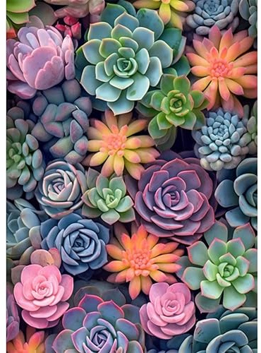 Paint by Numbers for Adults-Succulent Painting by Numbers Kits,Adults Paint by Numbers Flowers for Gift and Home Decor 12x16inch