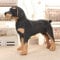 GMMAJ 3D-Simulation Stehender Schwarzer Hund Plüschtier Kuscheltiere Spielzeug Super Realistisches Hundespielzeug-50cm,Schwarz