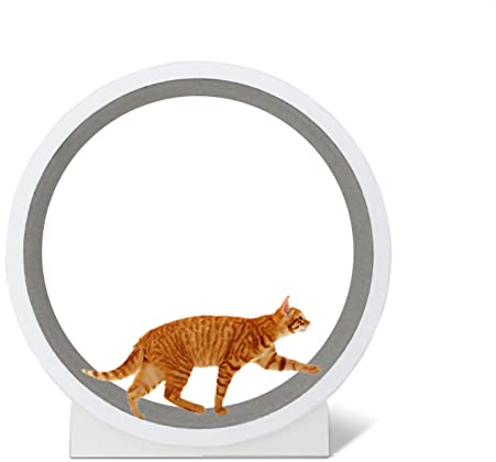 LZMZMQ Katzenlaufrad/Katzenrad Weiße Katzenräder Für Indoor-Katzen, Große Mittlere Kleine Katzen Übungsräder, Katzenradläufer/Katzenlauftraining/Katzenabnahme-Gewichtsgerät, Katzen-Laufrad