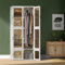 BursDany Kleiderschrank, tragbarer Schlafzimmerschrank, Faltbarer Mehrzweckschrank mit magnetischen transparenten Türen und 1 Aufhängestange, Kunststoffschrank, 170x69x50 cm (weiß)