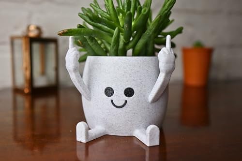 Handmade Middle finger joke pot - Painted and 3d Printed Cute little planter for succulents, cacti or other small plants, funny, joke and silly gift for any plant lover