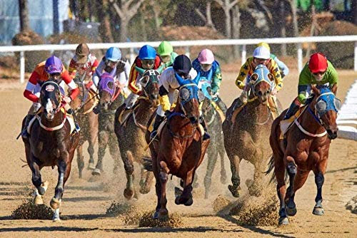 IGHSNZUH Horse Racing Adult Puzzle 1000 Pieces Jigsaw Puzzle Horse Racing Funny Educational Game Challenge 50X75Cm