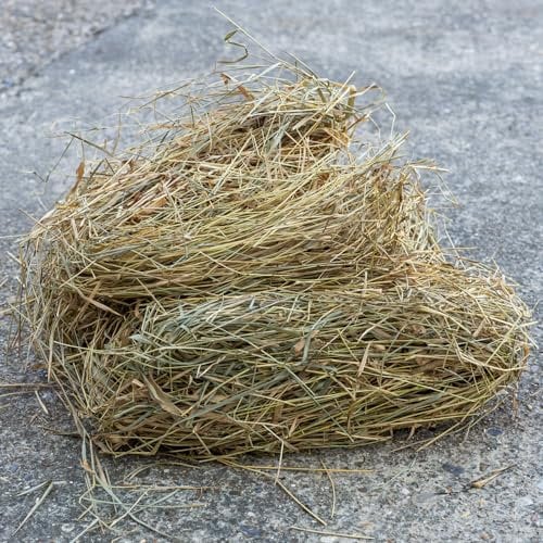 Woodside Hedgehog House Nesting Material 400g – 100% Natural Straw Bedding for Hedgehogs, Rabbits, Guinea Pigs & Small Animals