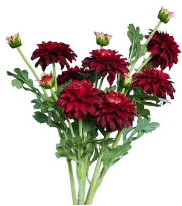 HGTYDV2 7 Stück echte Dahlien aus Seide, 54,9 cm Langer Stiel, künstliche Dahlien, feuchtigkeitsspendende Dahlien, Kunstblumenstiel für Hochzeit, Party, Dekoration