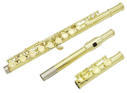 Querflöte Instrument 16 Geschlossene Offene Löcher C-Taste Professionelles Querflöten-Konzertmusikinstrument Mit Box-Tuch-Stick-Handschuhen(Gold)