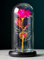 ONE SHOP Rosa la bella e la bestia Rosa led stabilizzata regalo Donna Mamma San Valentino cupola in vetro decorazioni Matrimonio Cresima Anniversario