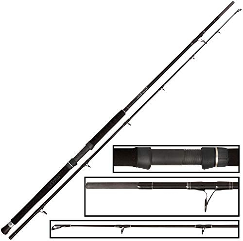 Black Cat Buster 2,80m 300-500g - Wallerrute zum Welsangeln, Angelrute zum Wallerangeln, Welsrute zum Angeln auf Waller