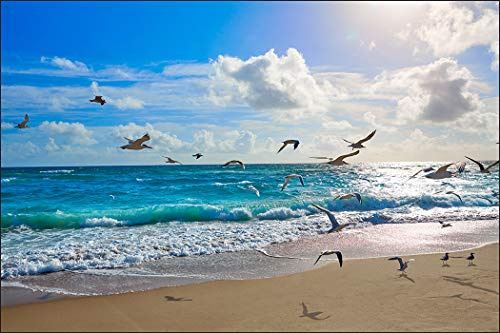 Muralo Fototapete Vlies Strand, Meer, Möwen, Himmel, XXL - 210x315 cm | Fantasievolle Tapete, hochauflösender Druck - ideal für Wohnzimmer und Schlafzimmer, Urlaubsfeeling für jeden Tag