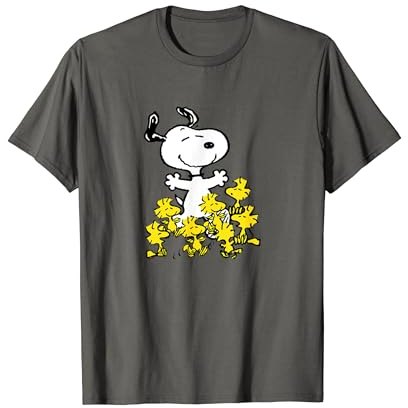 Peanuts - Snoopy Party T-Shirt, Herren, Grau, S
