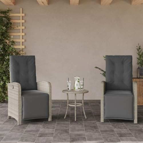 Frdhee Klappsessel Terrassenstuhl Stapelstuhl,Gartensessel mit Fußteil 2Stk. Verstellbar Hellgrau Poly Rattan,Für Camp,Garten,Balkon,Pflegeleicht