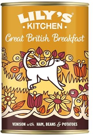 Lily's Kitchen Mit natürlichen Zutaten hergestellt Dosen-Nassfutter für ausgewachsene Hunde Leckeres britisches Frühstück 400g