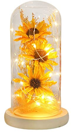Wnvivi Preserved Flower with LED Light,Artificial Sunflowers in Glass Dome,Light up Forever Preserved Sunflowers for Anniversary (Yellow)
