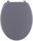 TENDANCE Abattant WC en Bois Gris avec Kit Fixation en Acier Inoxydable