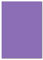 FarbenFroh by GUSTAV NEUSER 50x DIN A4 Papier - Violett - 110 g/m² - 21 x 29,7 cm - Briefpapier Bastelpapier Tonpapier Briefbogen
