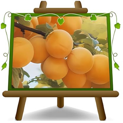 ciruelas sonrisa de primavera - Planta frutal vieja en maceta 26 injertado Portainjerto myrobolan - max 200 cm - 4 años