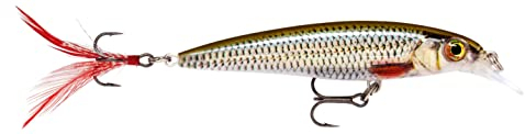 Rapala - X -Rap Fischerei Köder Kunststoffkonstruktion - Aufhängung von Süßwasserköder - Schwimmtiefe 0,9-1,5 m - Größe 10 cm / 13g - Hergestellt in Estland - Live -Roach