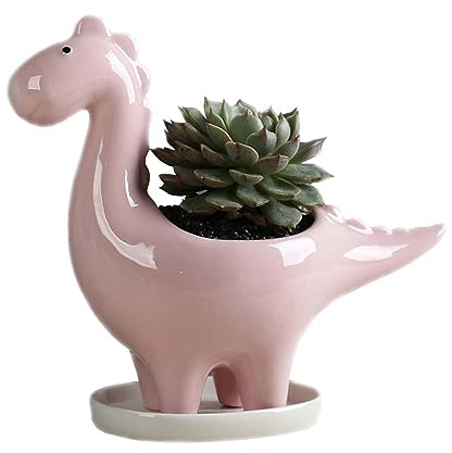 BYVUTE Pots de fleurs en céramique pour plantes grasses dinosaures mignons, pots de fleurs créatifs pour jardinage, plantes grasses, fleurs, cactus, pour intérieur extérieur, bureau, maison, jardin,